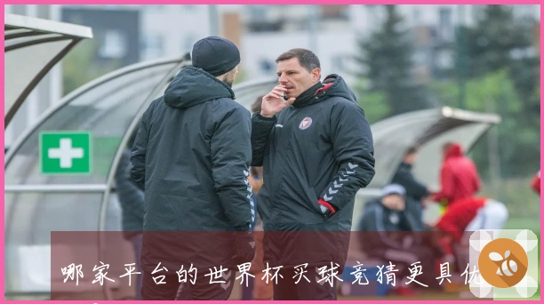 哪家平台的世界杯买球竞猜更具优势？看看这几款热门选择