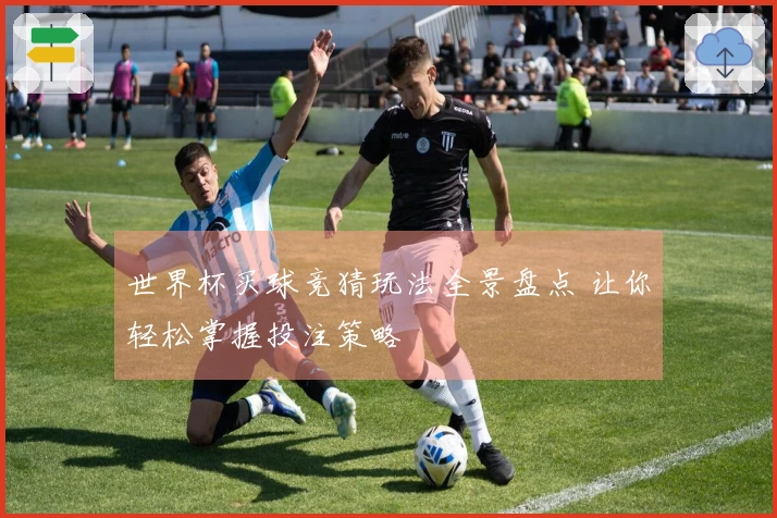 世界杯买球竞猜玩法全景盘点 让你轻松掌握投注策略