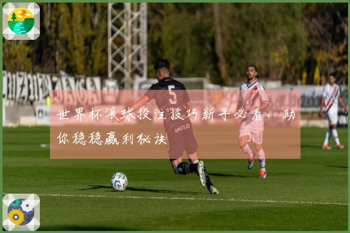 世界杯滚球投注技巧新手必看，助你稳稳赢利秘诀
